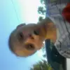 April. carney  - @aprilcarney2037548 - TikTok