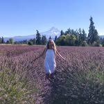 April Carroll - @etheric_goddess - Instagram
