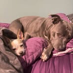 April Cauthen - Facebook
