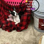 april_cauthen - @april01917 - Instagram