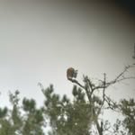 April Cheers - @inmybinoculars - Instagram
