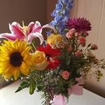 April Peterson Cheney - @cheney.april - Instagram