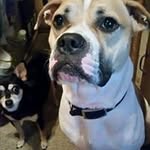 April Cooper - @april.cooper.76 - Instagram