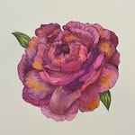 April Coy - @watercolor_april - Instagram
