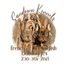 April Daniel - @sundownbulldogges - Instagram
