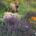 April Daugherty - @april.daugherty.50 - Instagram