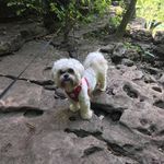 April Davidson - @april.davidson.14 - Instagram