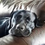 April Dobson - Facebook