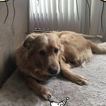 April Donovan - @mom__of__4 - Instagram