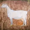 april.doss94 - @april.doss94 - TikTok
