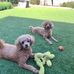 April Douglas - Facebook