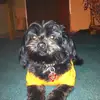 aprildouglas132 - @aprildouglas132 - TikTok