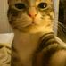 April Jane Radores Flores - Facebook