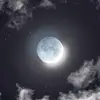 AprilFriedman5U3m4 - @aprilfriedman5u3m - TikTok