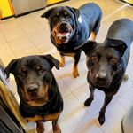 April Fuller Paul - @aprildawn.675 - Instagram