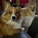 April Garrison Ledford - @aprilgledford - Instagram