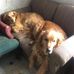 April Geyer - Facebook
