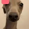 aprilgiles777 - @aprilgiles777 - TikTok