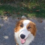 aprilgiles - @aprilgiles43 - Instagram