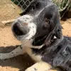 aprilgraves - @april.g2004 - TikTok