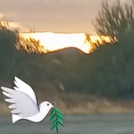 April Hansen - @april.hansen.353 - Instagram