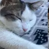 April❤️ - @april.herrera74 - TikTok