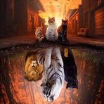 April Micco-Hetzel - Facebook