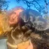 April Hinton - @april.hinton8 - TikTok