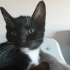 MrsCuddlebug06 - @aprilhoffman35274 - TikTok