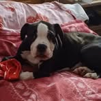 April Holt - Facebook