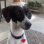 April Holt - @akh40112 - Instagram
