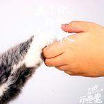 April Huang - @huang.april - Instagram