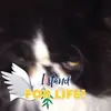 April Hurt565 - @joubee1 - TikTok