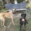 aprilisom - @mathemagician61 - TikTok