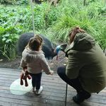 april.kenny.evie - @the.crazy.life.of.the.peuts - Instagram