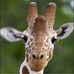 April Kincaid Rand - Facebook