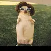 April Lang - @coolaustin223 - TikTok