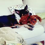 April Luttrell - @acedogluttrell - Instagram