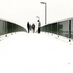 Marcus Wh - @marcuswhapril - Instagram