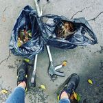 April McCarthy - @litteringisfor - Instagram