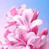 April McFadden - @april.mcfadden0 - TikTok