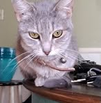 April Miner - Facebook