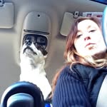 April Miner - @houseofmonstel - Instagram