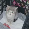 Axel  Moreno - @april.moreno20 - TikTok