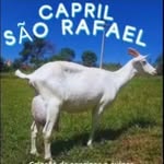 capril São Rafael - @caprilsaorafael2024 - Instagram