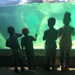 April Timmons - @genesisfamilychildcare - Instagram