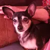 user4982537246413 - @aprilwheeler1955 - TikTok