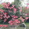 April🤣 - @april_wiseman_1977 - TikTok