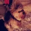 April Witherspoon - @april.witherspoon0 - TikTok