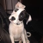 April Workman - @aprilworkman53 - Instagram